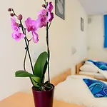 Boutique Loka Hotel 4*