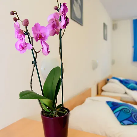 Boutique Loka ホテル 4*