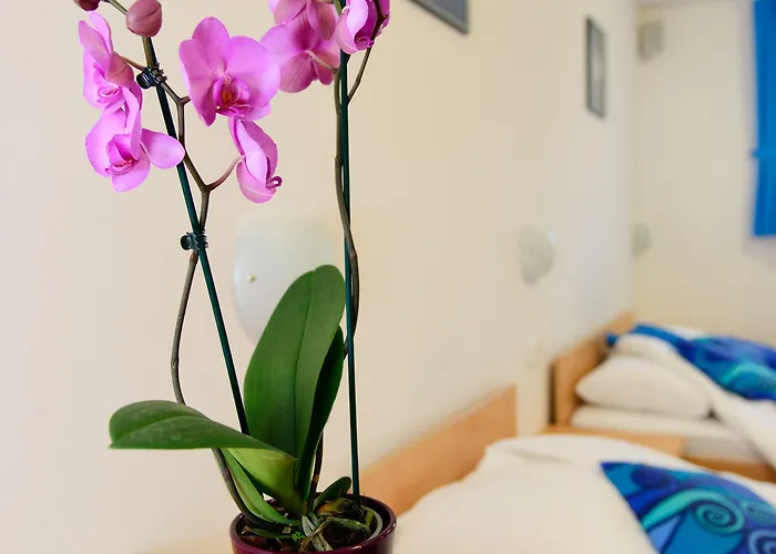 Boutique Loka Otel 4*